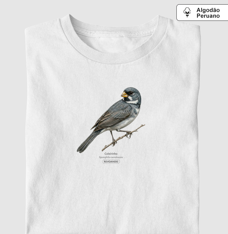 Aves do Brasil - Coleirinho II - Algodão Peruano