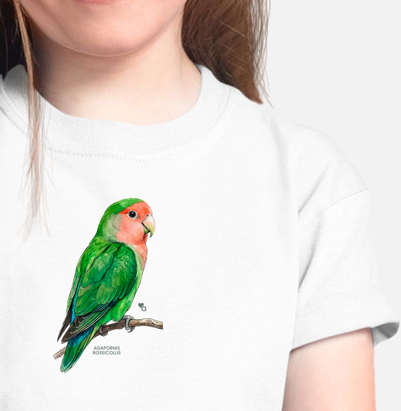 Aves - Agapornis Roseicollis - Infantil