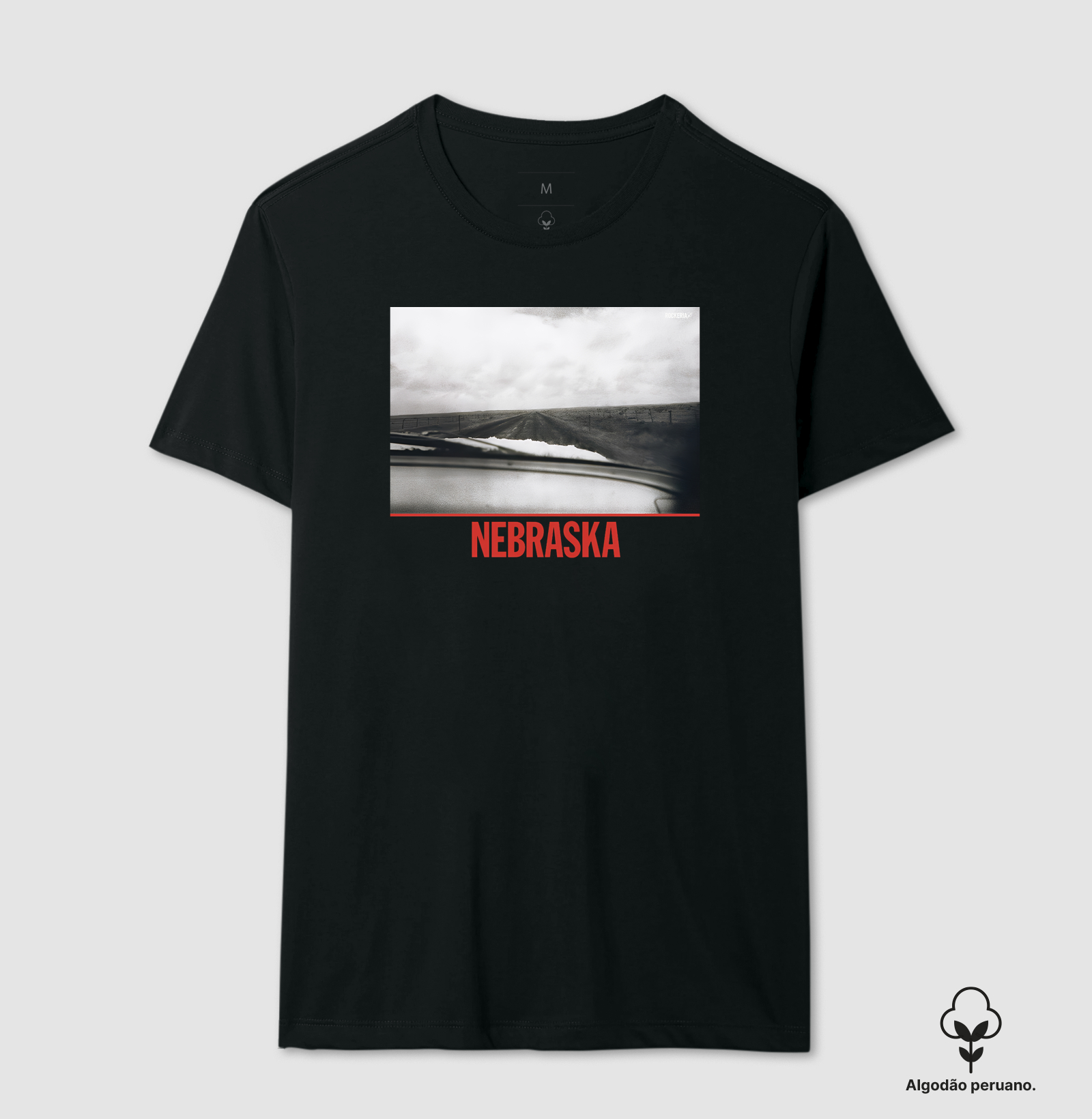 Nebraska - BS