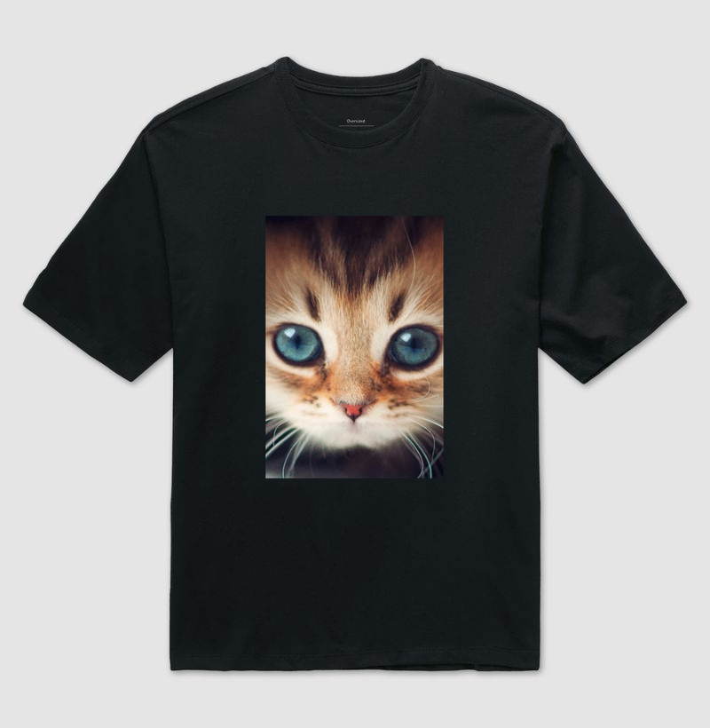 Gatinho