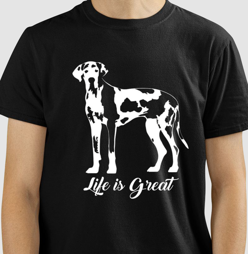 Life is Great Arlequeim