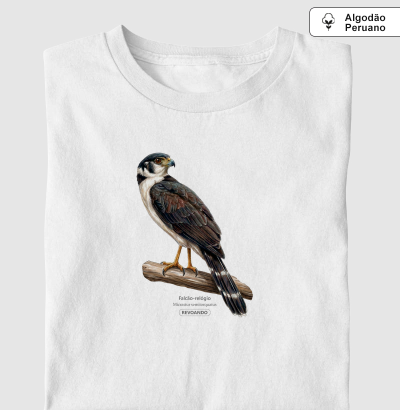 Traços Alados - Falcão-relógio - Algodão Peruano