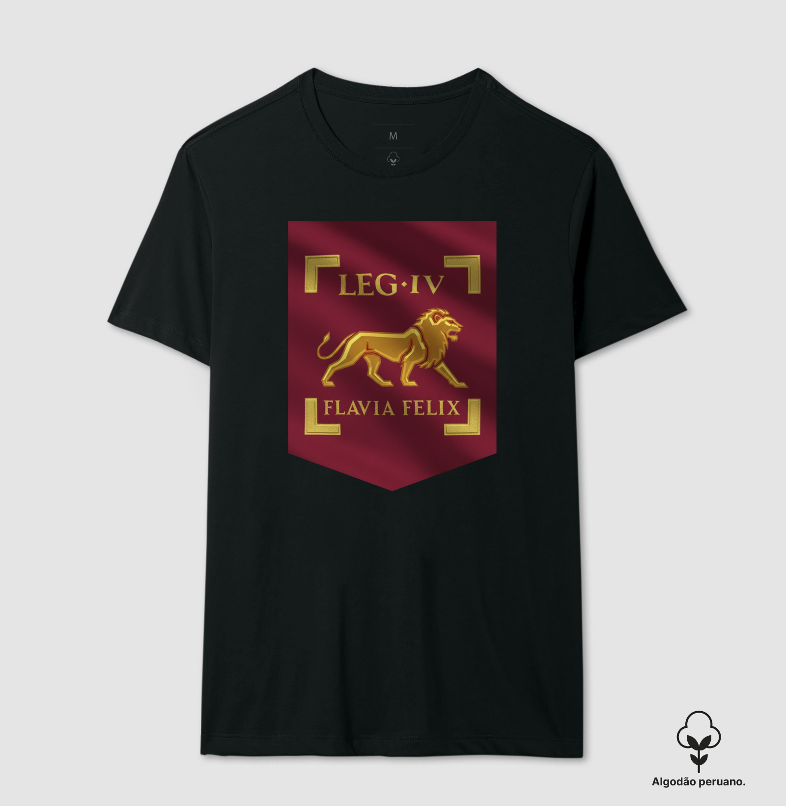 LEGIO — IV Flavia Felix