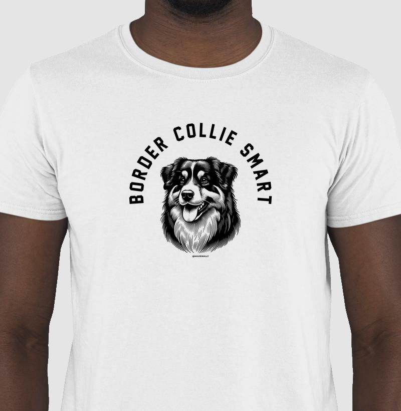 Border Collie Smart