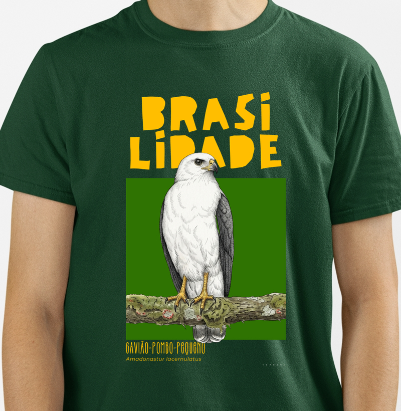 Gavião-pombo-pequeno
