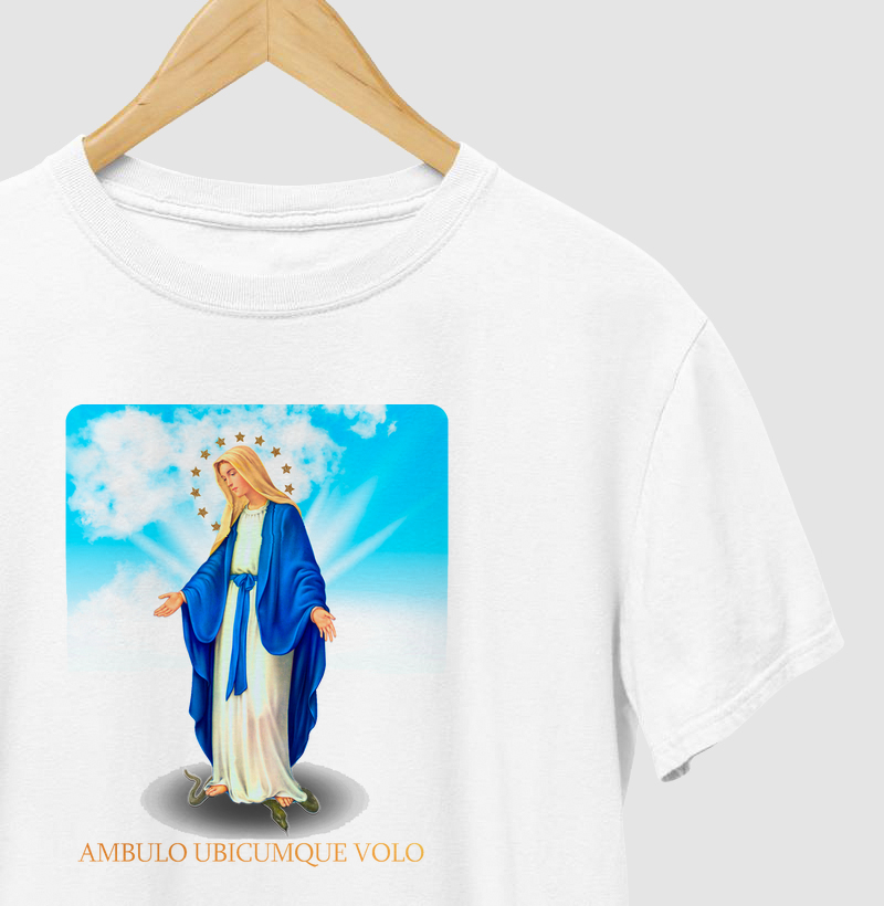 Nossa Senhora e a serpente