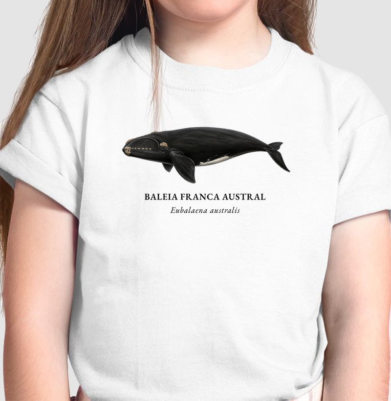 Baleia Franca Austral