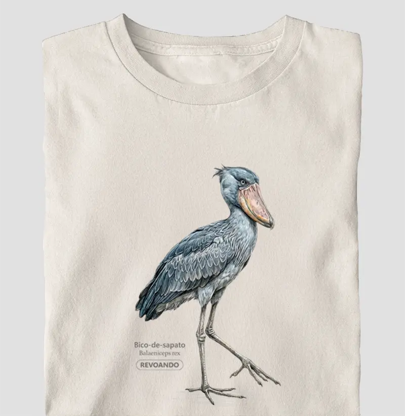 Traços Alados - Bico-de-sapato - Oversized