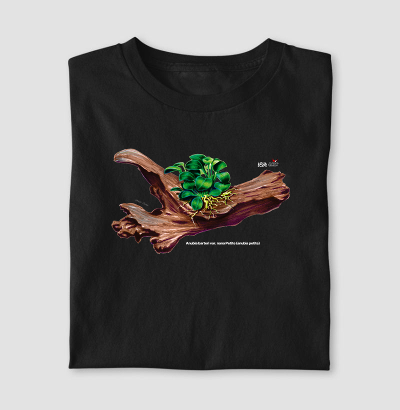 Anubia barteri var. nana Petite (anubia petite)