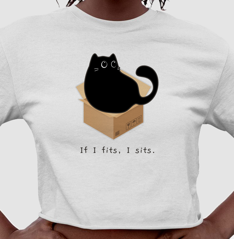 If I fits, I sits. | gato preto