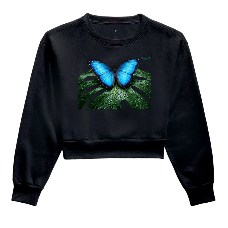 Borboleta-Azul