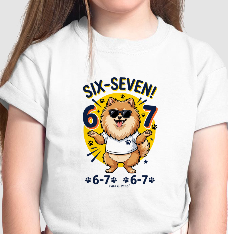 CAMISETA INFANTIL SIX-SEVEN 6 7 - Camiseta Infantil