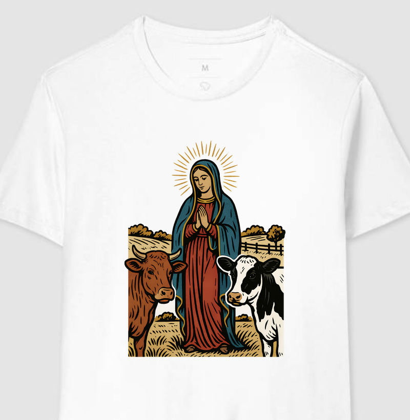 Abençoe minhas terras