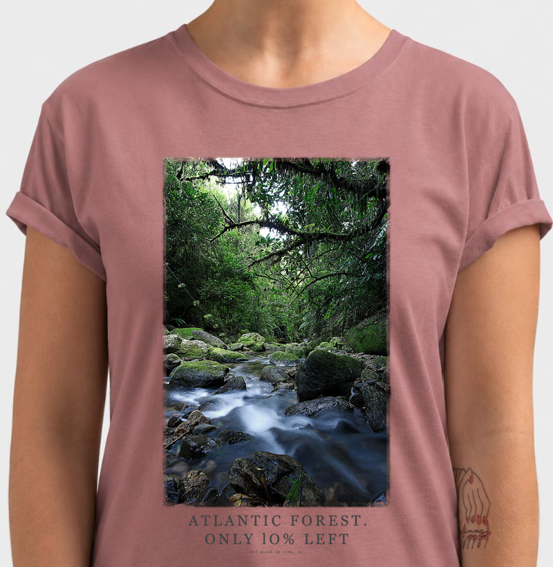 Atlantic Forest
