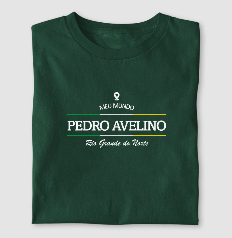 Pedro Avelino (RN) | Meu Mundo