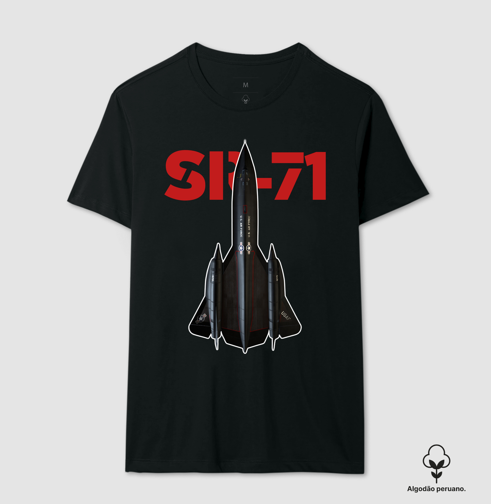SR-71 Black Bird