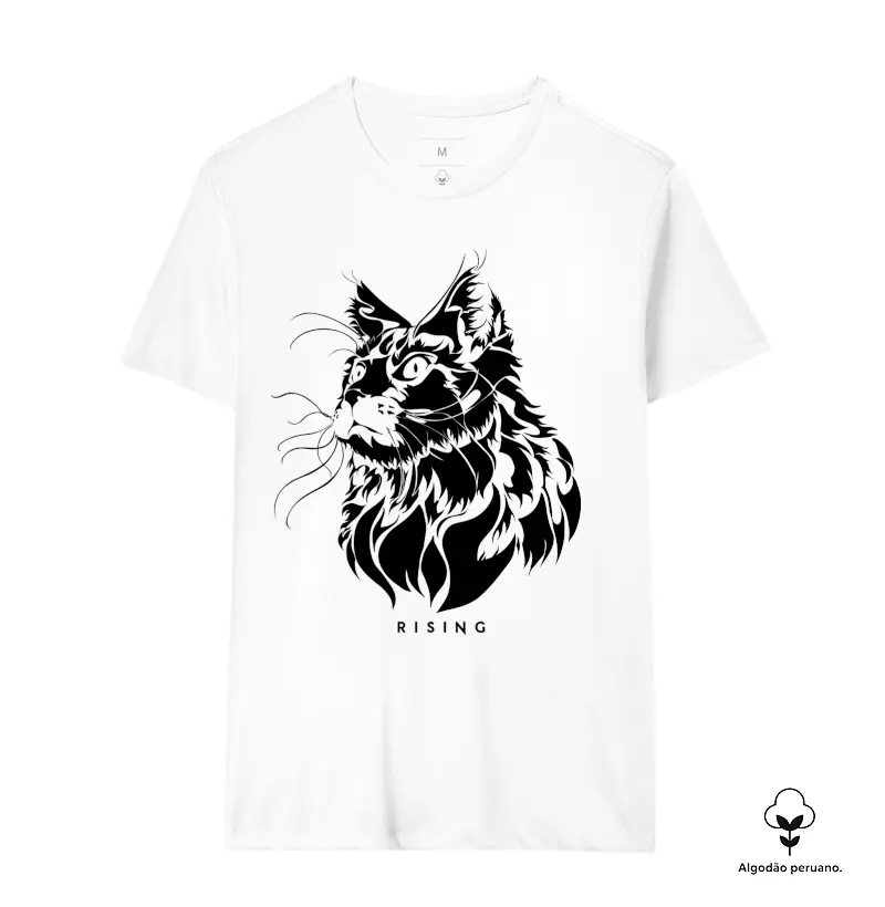 Curious Cat - Rising