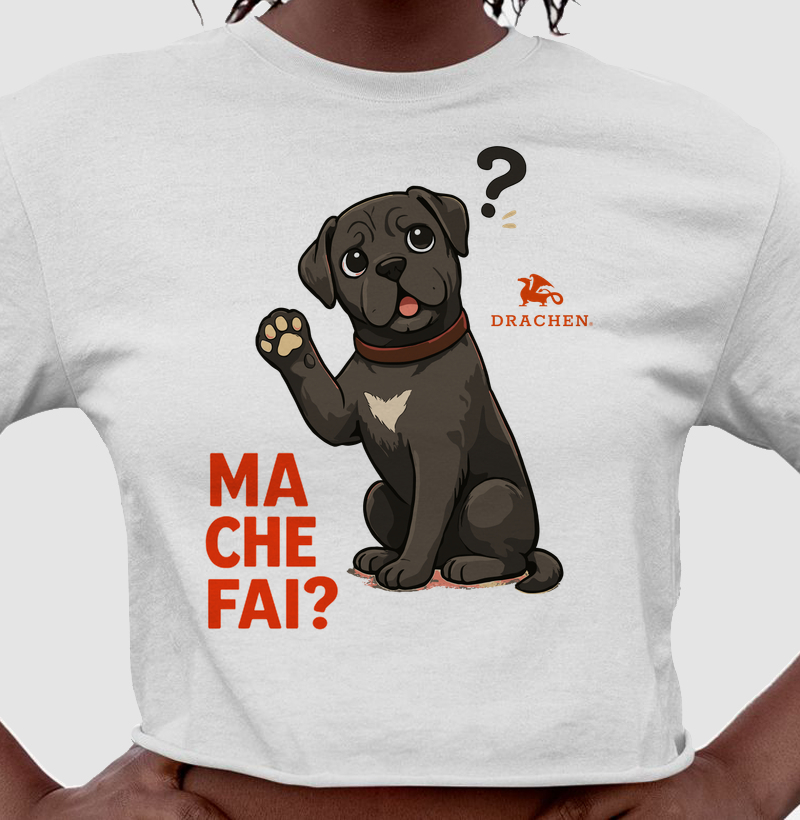 MA CHE FAI? — Il Cane Sorpreso