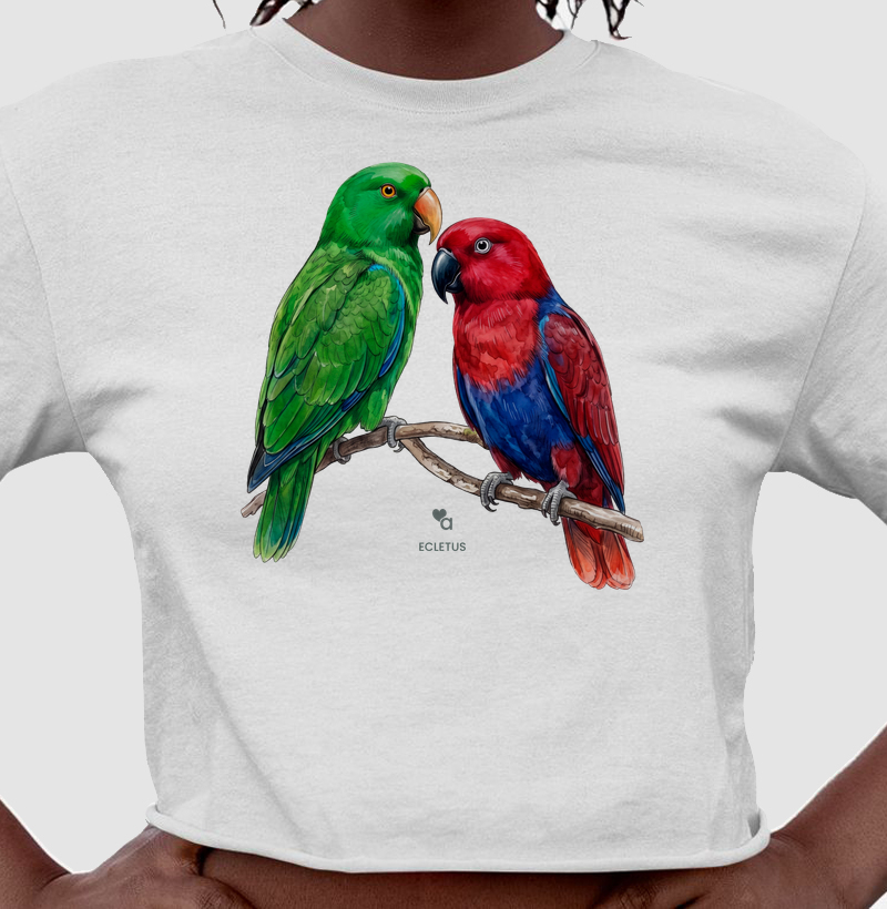 Aves - Casal Ecletus - Cropped