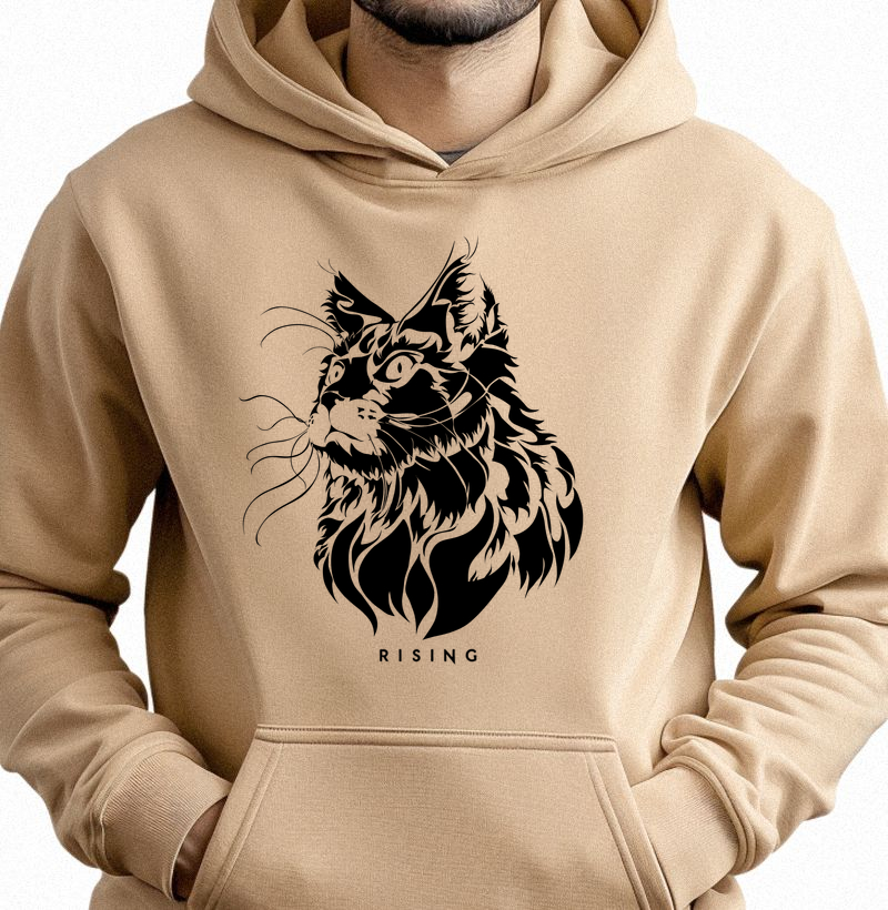 Curious Cat - Rising