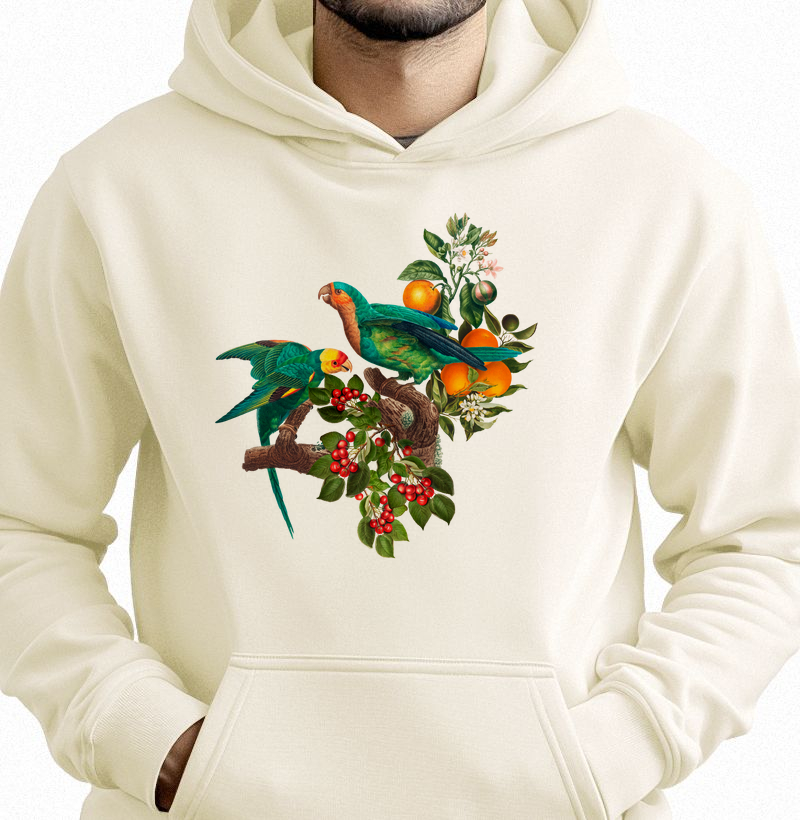 Colagens - Psitas, Flores e Frutas - Moletom Hoodie
