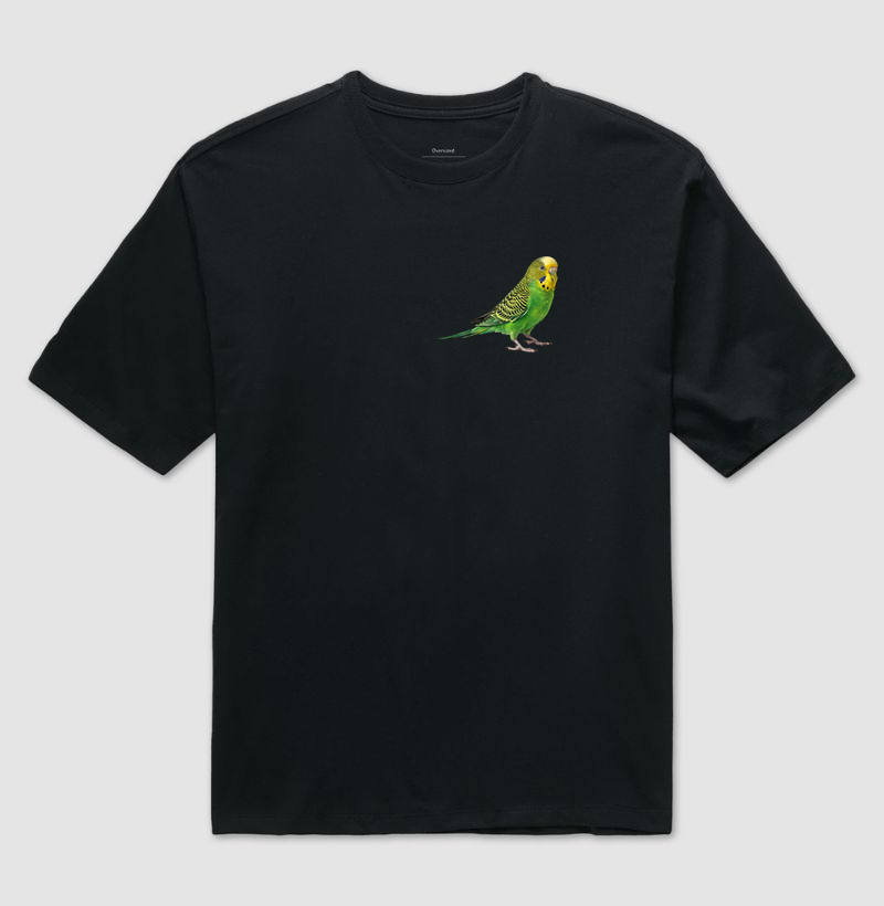 Camisa 0
