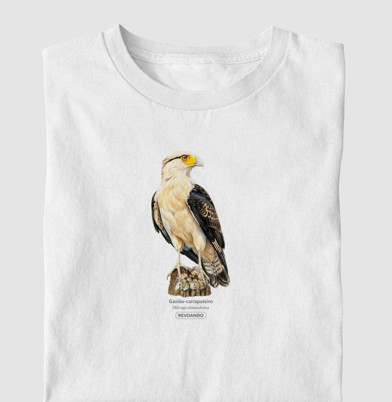 Traços Alados - Gavião-carrapateiro - Infantil