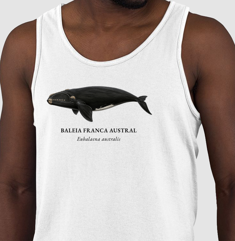Baleia Franca Austral - Regata