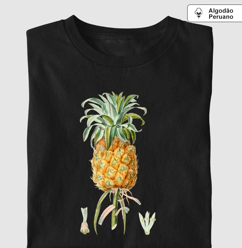 Abacaxi