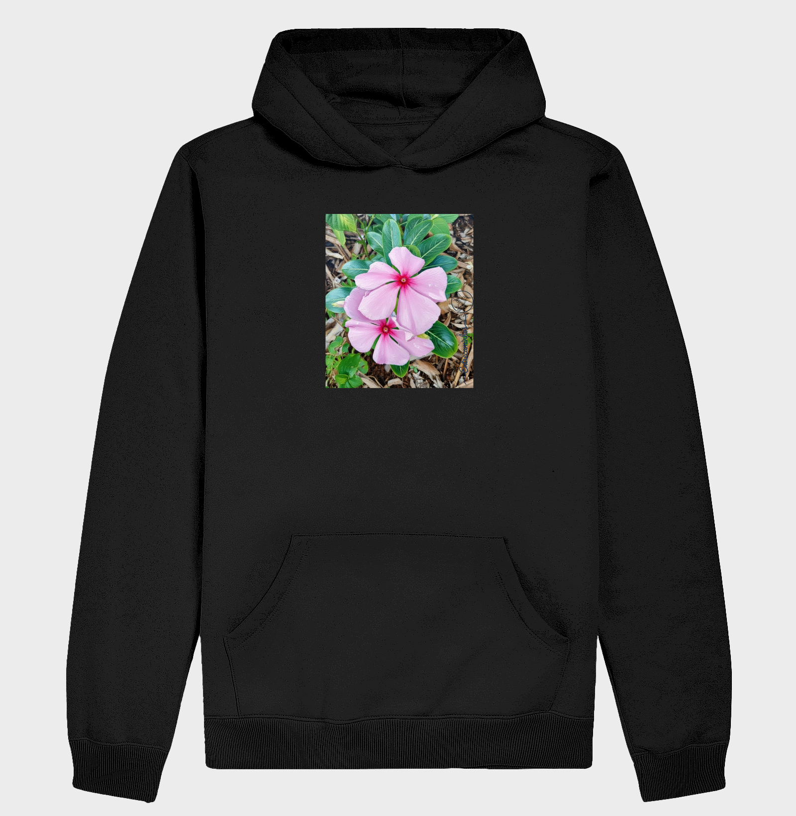 Vinca de Madagascar (tela)