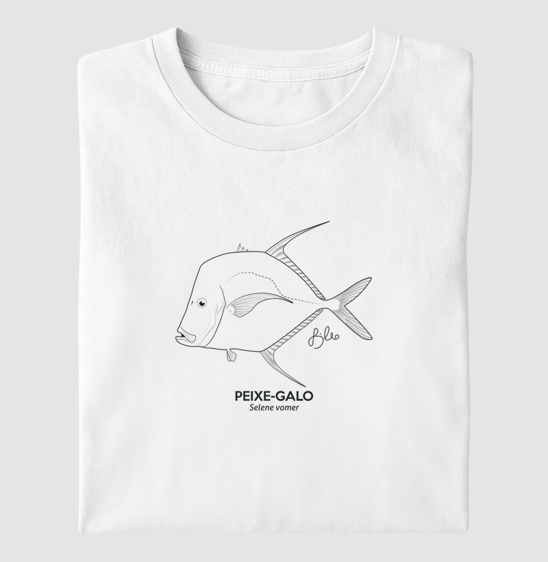 Peixe-Galo Minimalismo