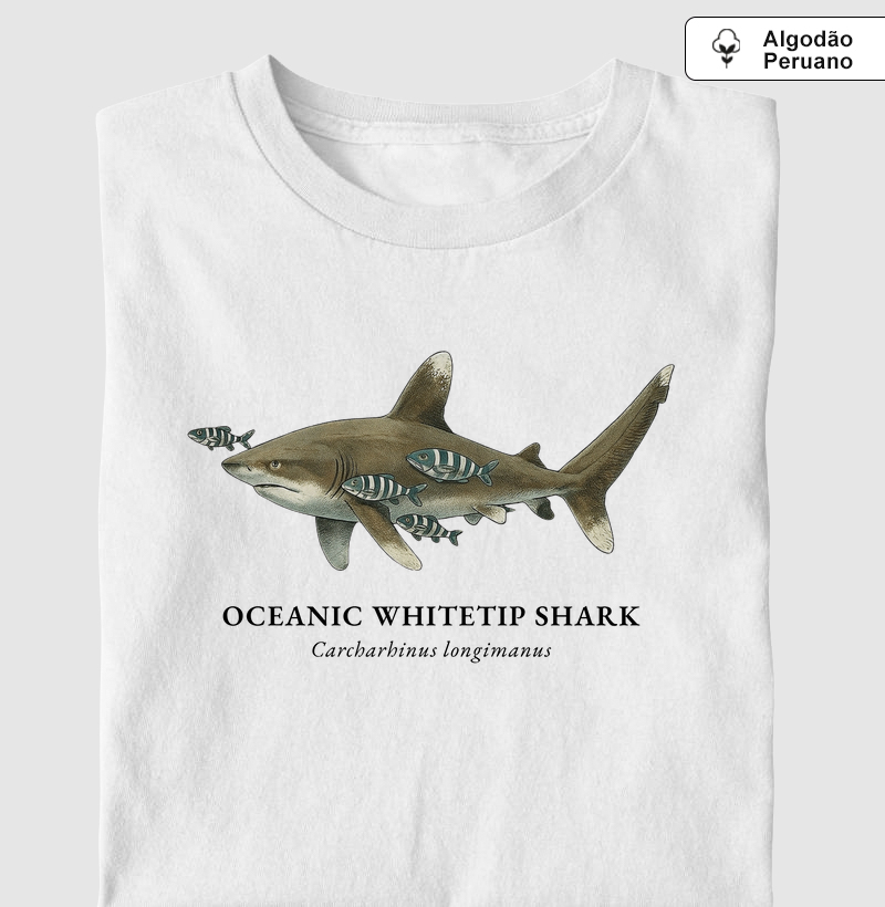 Oceanic Whitetip Shark