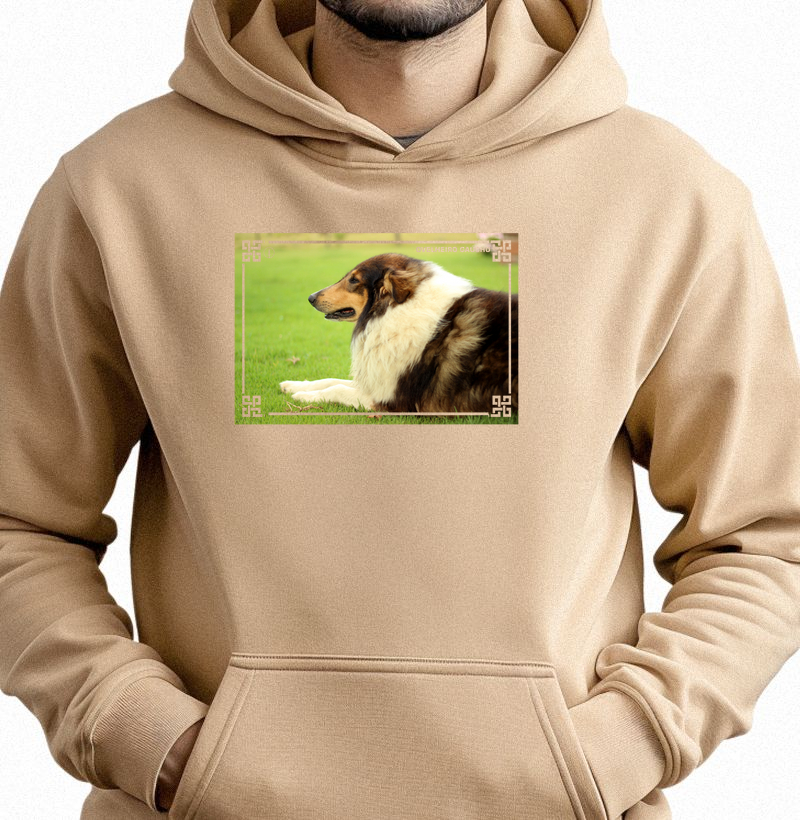 Ovelheiro Gaúcho - Color 2