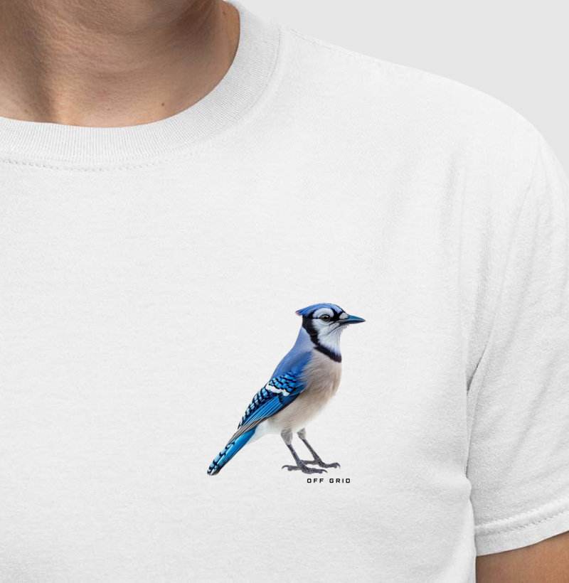 Gaio Azul