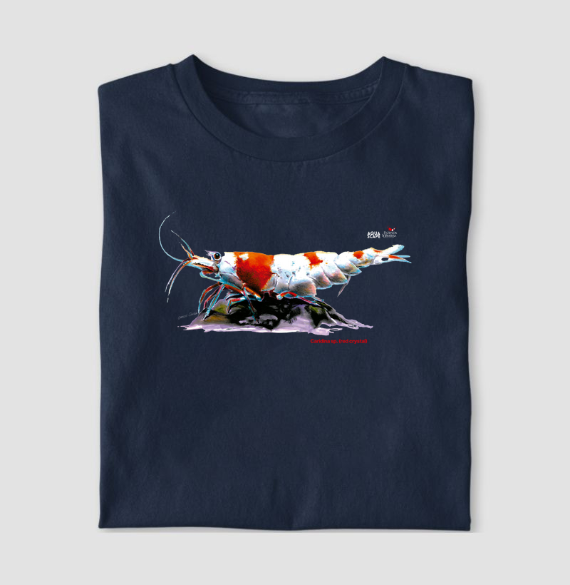 Camarão - Caridina sp. (red crystal)