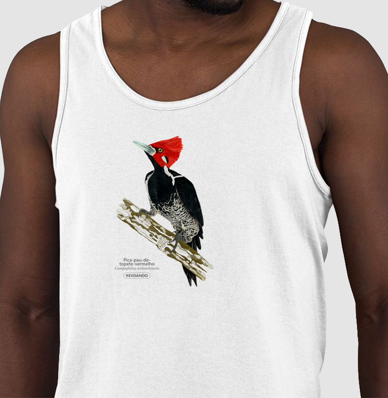 Inky Aves - Pica-pau-de-topete-vermelho - Regata