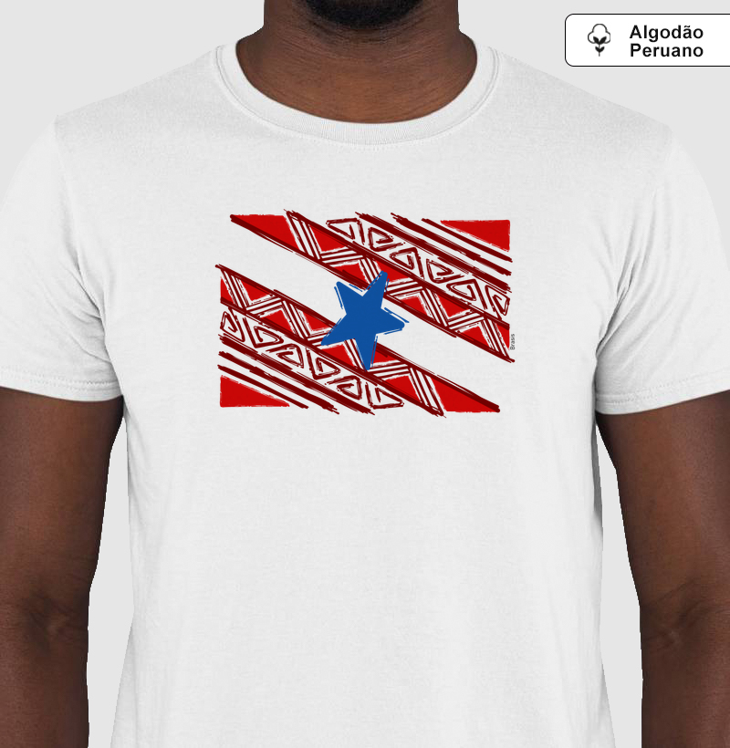 Bandeira do Pará Grafismo