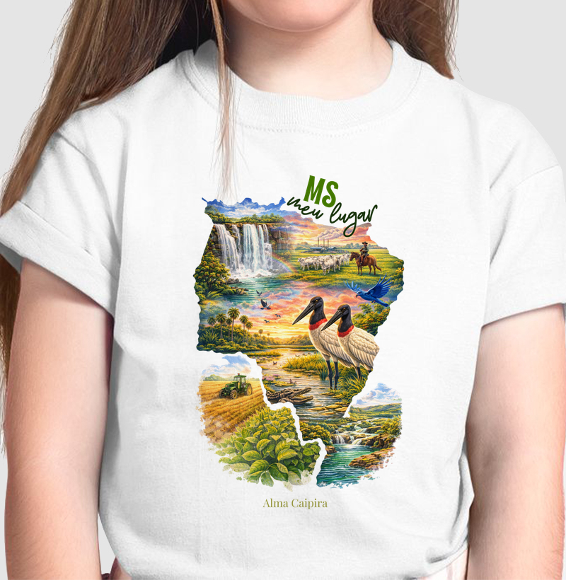 MS meu lugar_2