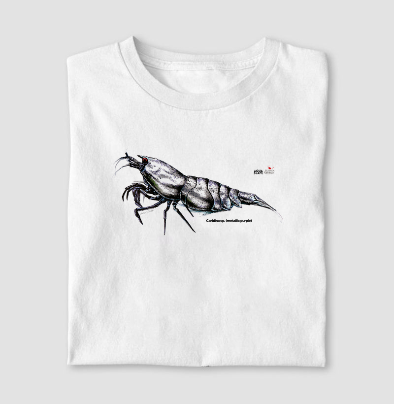 Camarão - Caridina sp. (metallic purple)