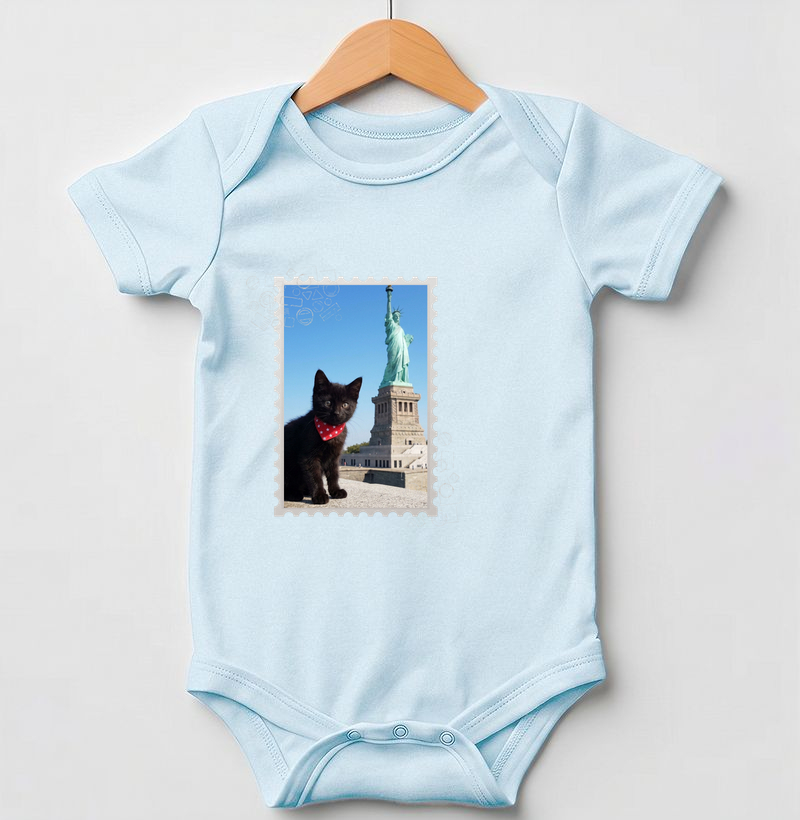 Travelling Cats - New York