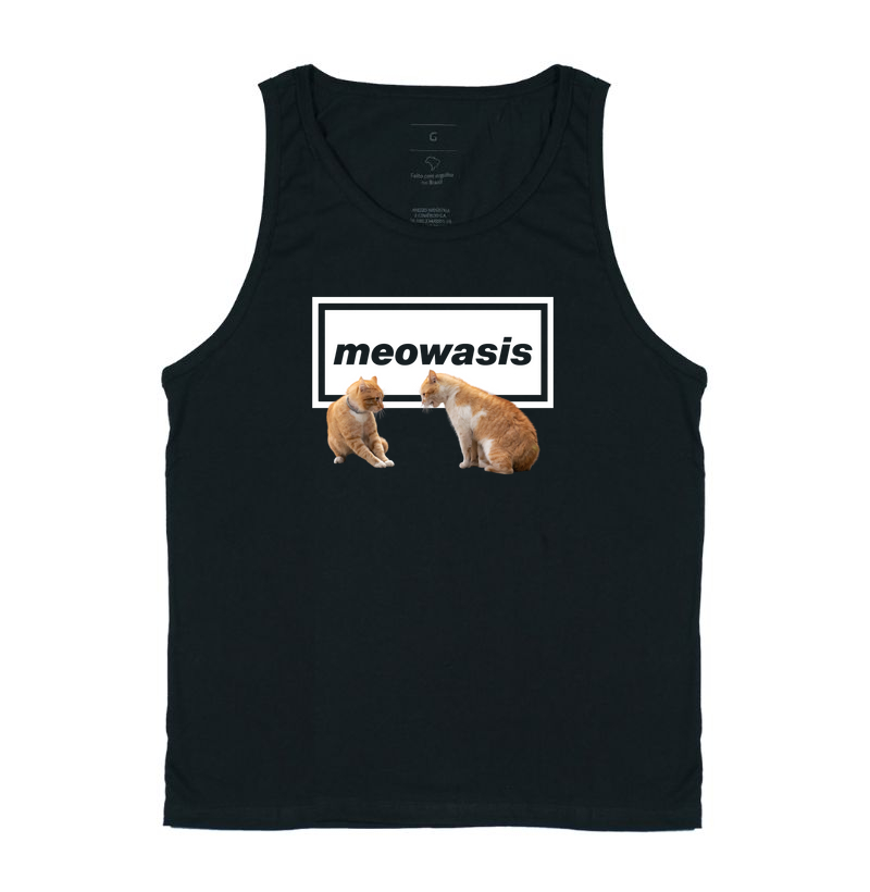 STARING FIGHT MEOWASIS