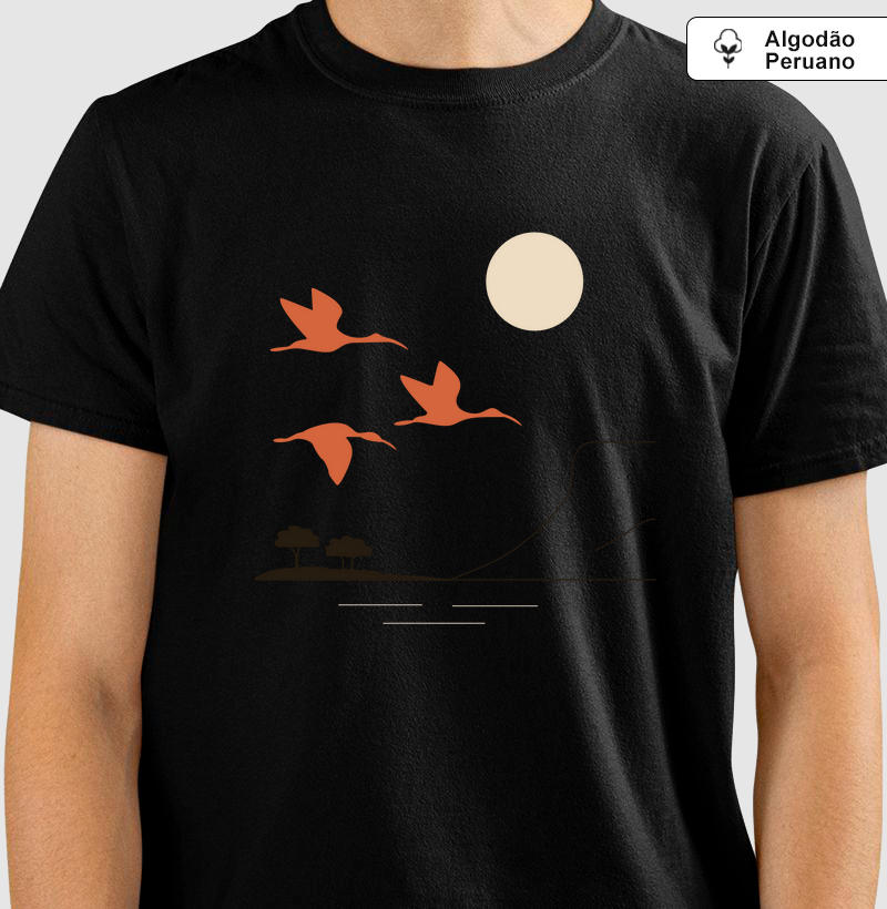 Revoada dos guarás Piaui