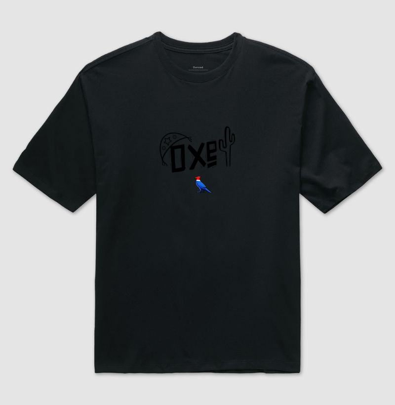  Estampa Ideal para: quem ama o Nordeste, valoriza arte autêntica e quer vestir identidade e atitude. Vista o orgulho nordestino com cor, força e liberdade.”  - Camiseta Oversized