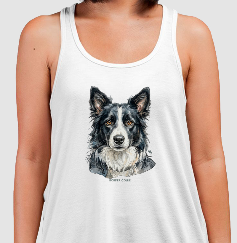 Cães - Border Collie - Regata