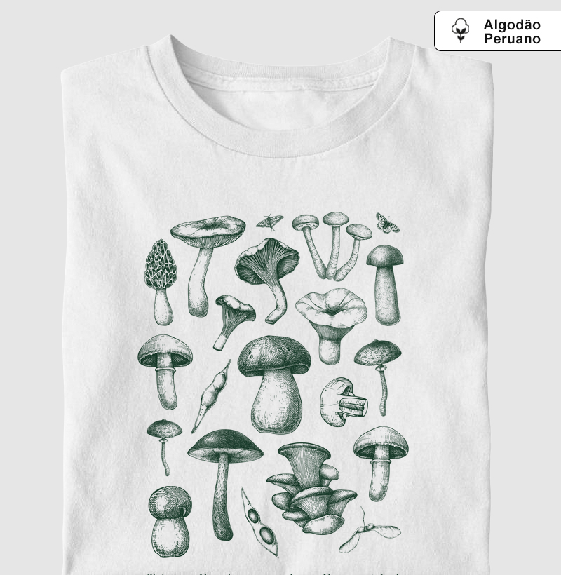 The Future is Funghi