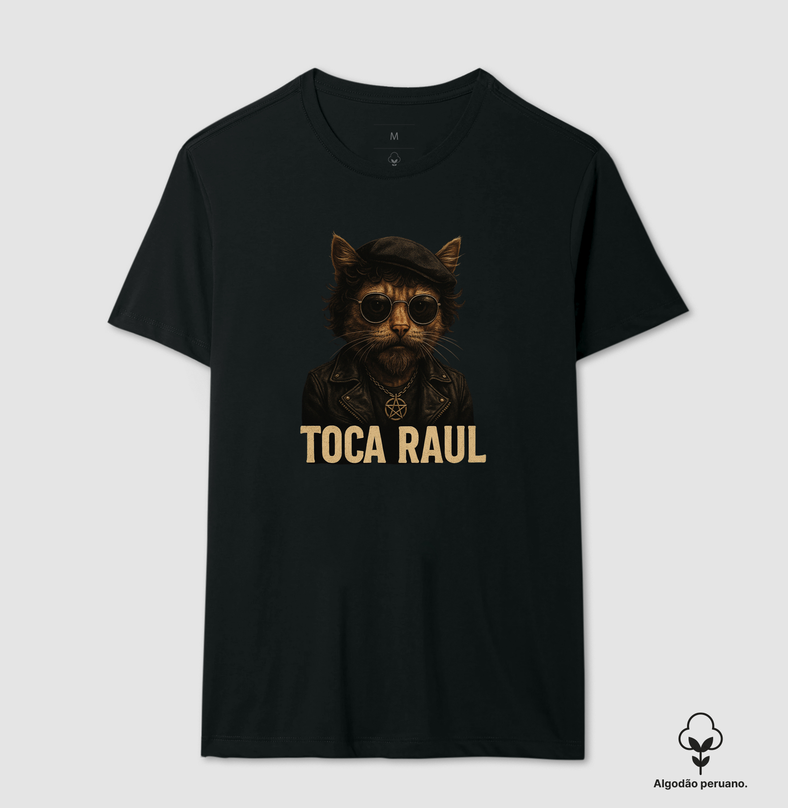 Gato Toca Raul