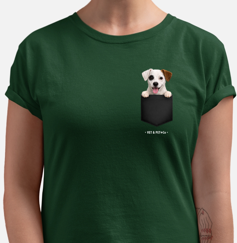 Cachorro de bolso (Jack Russell Terrier)