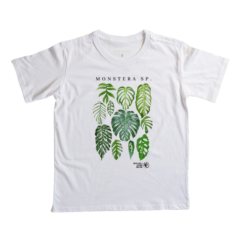 MONSTERA SP