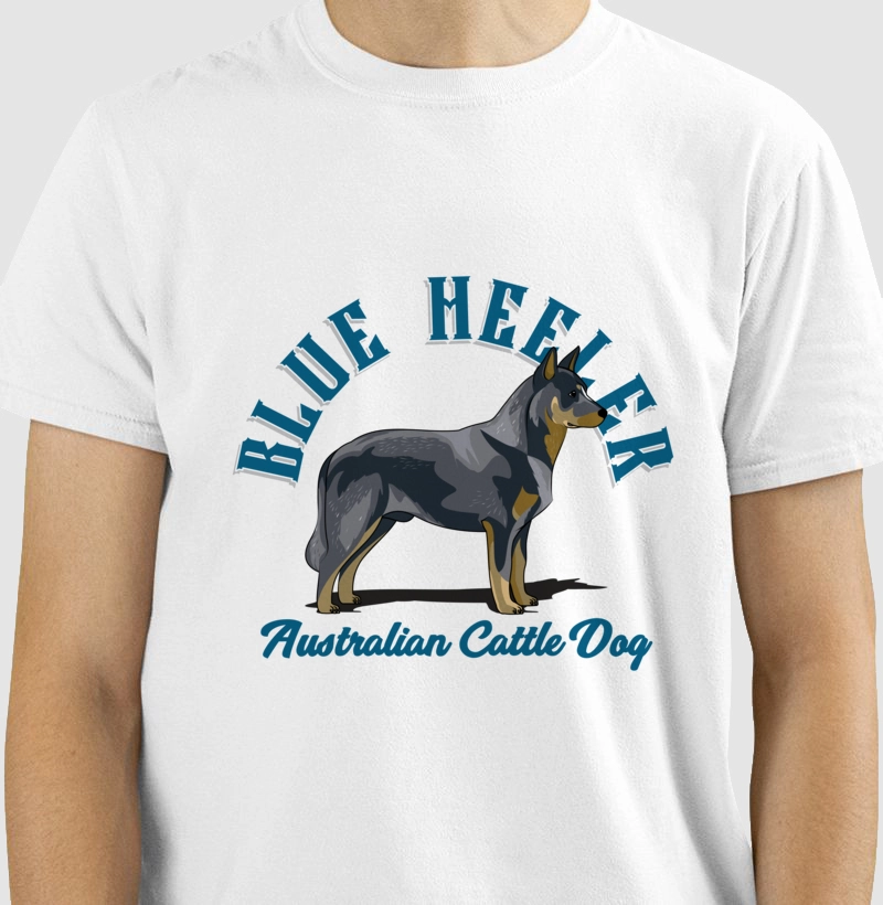 Australian Cattle Dog Blue