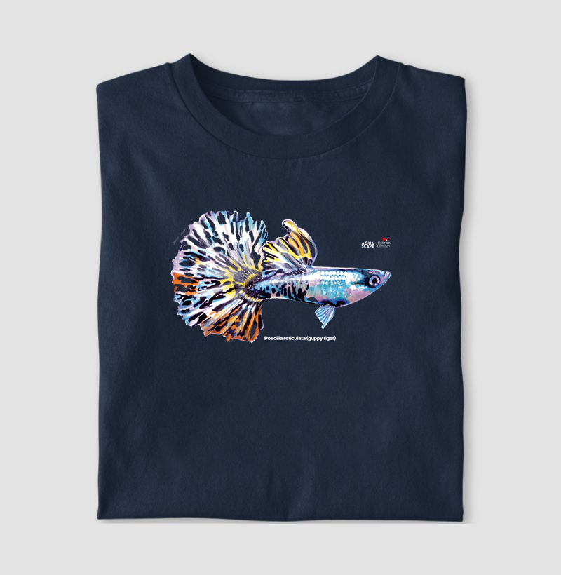 Poecilia reticulata (guppy tiger)